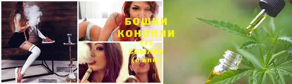 шишки Алексеевка