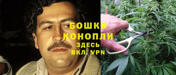 бошки Алзамай