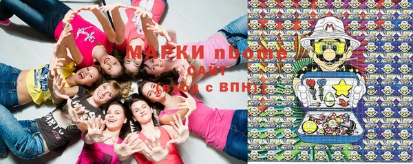 метадон Алексин